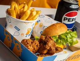 2 Bros | High-Demand Hot Chicken Franchise 2 Bros | High-Demand Hot Chicken Franchise