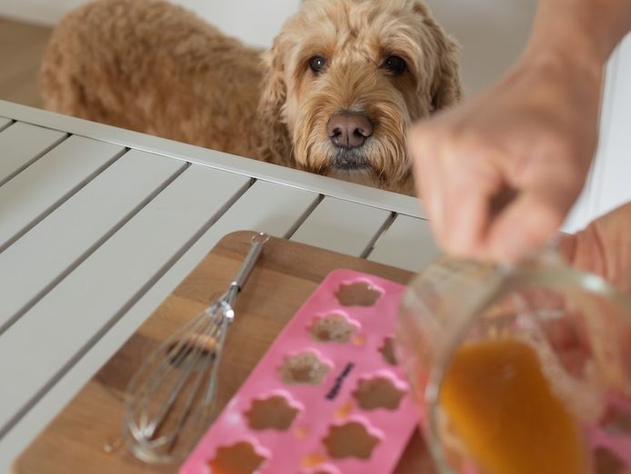 selling-a-pet-business-australian-made-and-owned-1