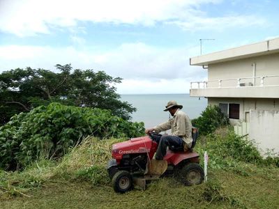 gardening-business-for-sale-1