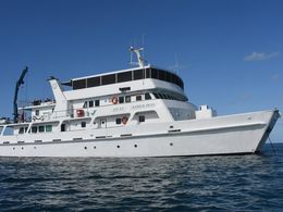 Eco Abrolhos - Unqiue Marine Tourism Opportunity