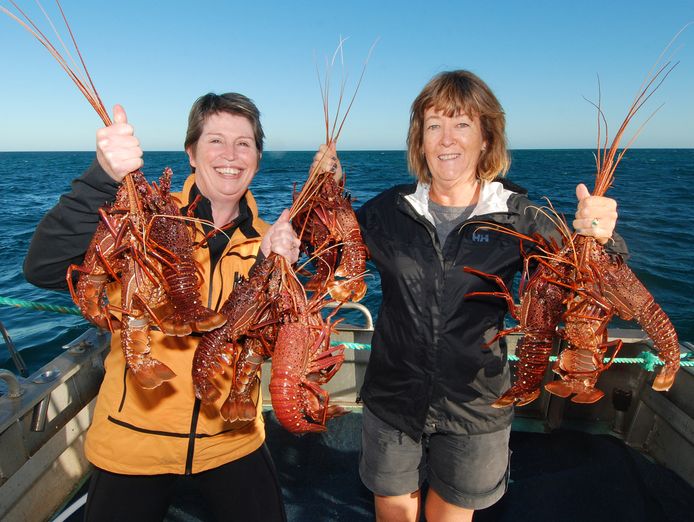 eco-abrolhos-unqiue-marine-tourism-opportunity-7