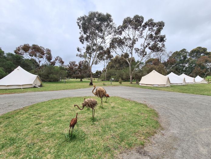 teepee-bell-tent-hire-business-6