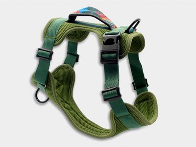 online-pet-supply-business-ready-to-launch-1