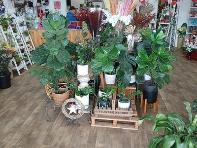 rare-opportunity-fully-equipped-florist-business-dubbo-1
