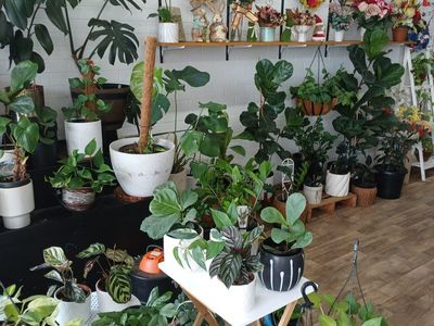 rare-opportunity-fully-equipped-florist-business-dubbo-5