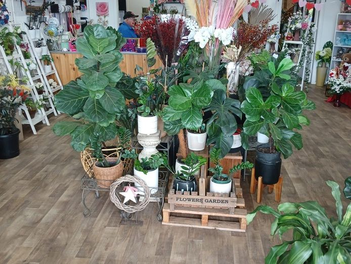 rare-opportunity-fully-equipped-florist-business-dubbo-1