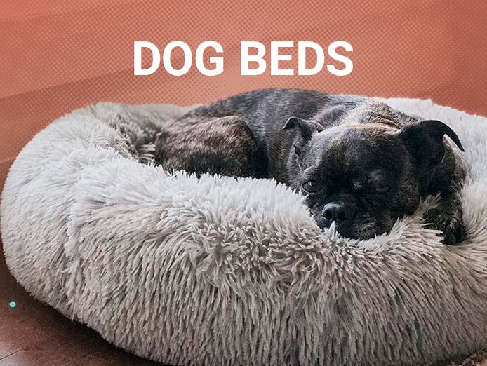 ecommerce-pet-business-for-sale-3