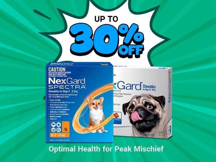 ecommerce-pet-business-for-sale-4