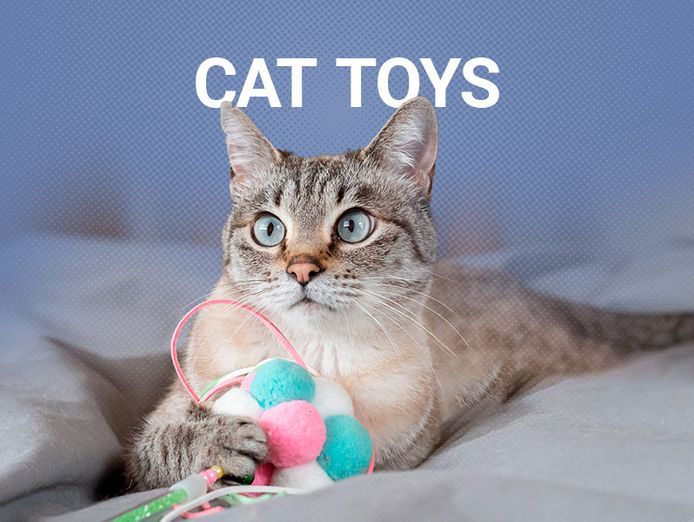 ecommerce-pet-business-for-sale-7