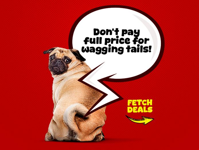 ecommerce-pet-business-for-sale-9