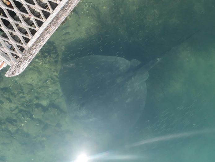 established-adventure-tourism-business-iconic-coastal-location-8