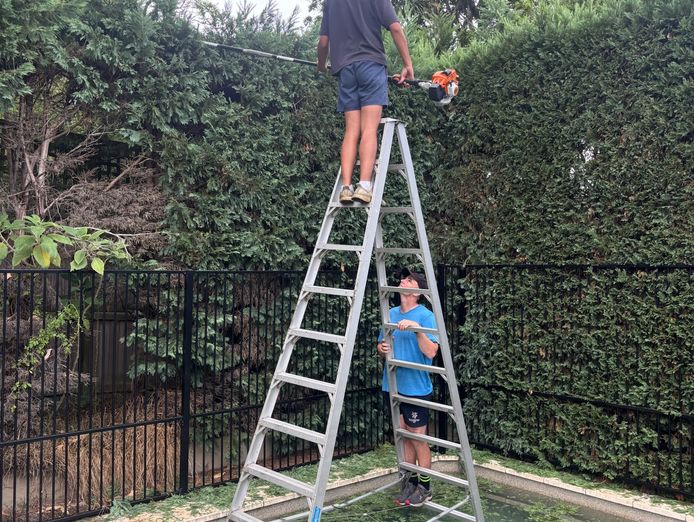 established-profitable-garden-maintenance-business-for-sale-net-220-000-2