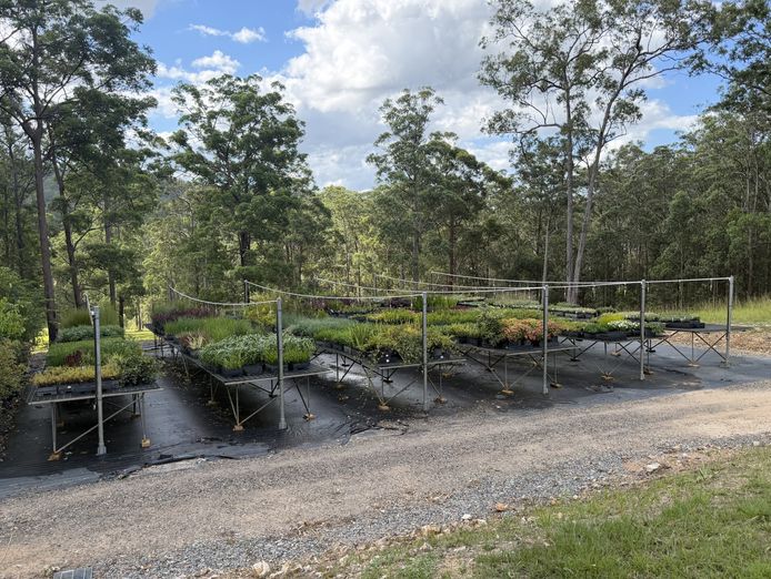 profitable-online-nursery-100k-profit-160k-stock-fully-relocatable-6