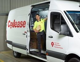 Mobile courier driver franchise business opportunity in SYDNEY. Min $2,200pw