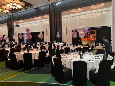 balloon-decorating-home-based-7