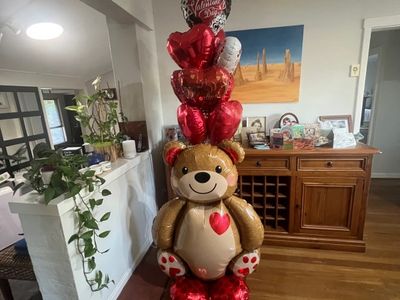 balloon-decorating-home-based-3