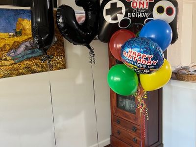 balloon-decorating-home-based-8