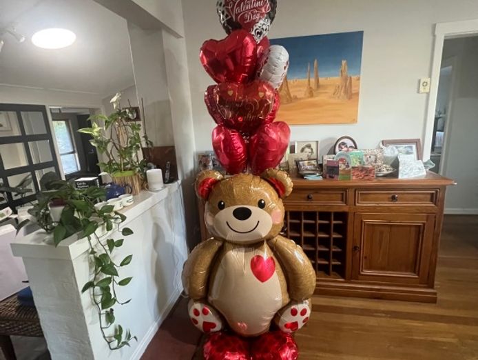 balloon-decorating-home-based-3