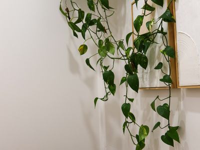 established-salon-in-northern-wollongong-location-4