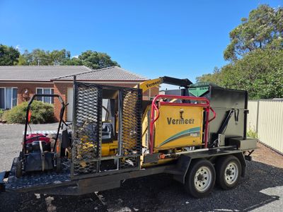 tree-maintenance-and-gardening-1