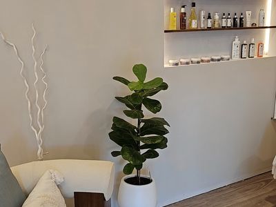 profitable-beauty-aesthetics-wellness-clinic-6