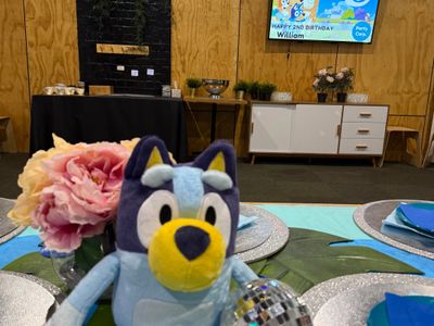 profitable-kids-party-events-business-fully-set-up-alphington-1