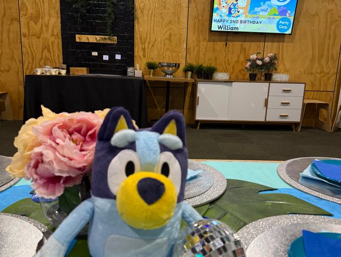 profitable-kids-party-events-business-fully-set-up-alphington-1