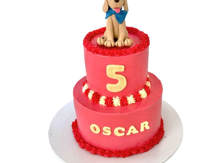 unique-niche-pet-bakery-for-sale-9