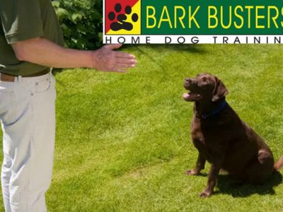 bark-busters-dog-training-franchise-northern-beaches-lower-north-shore-0