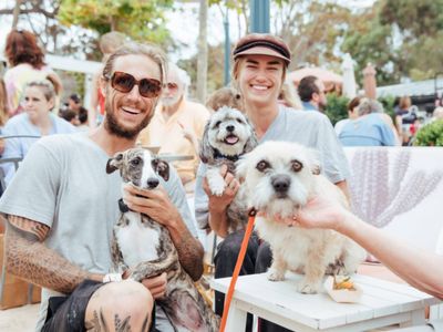 bark-busters-dog-training-franchise-northern-beaches-lower-north-shore-3