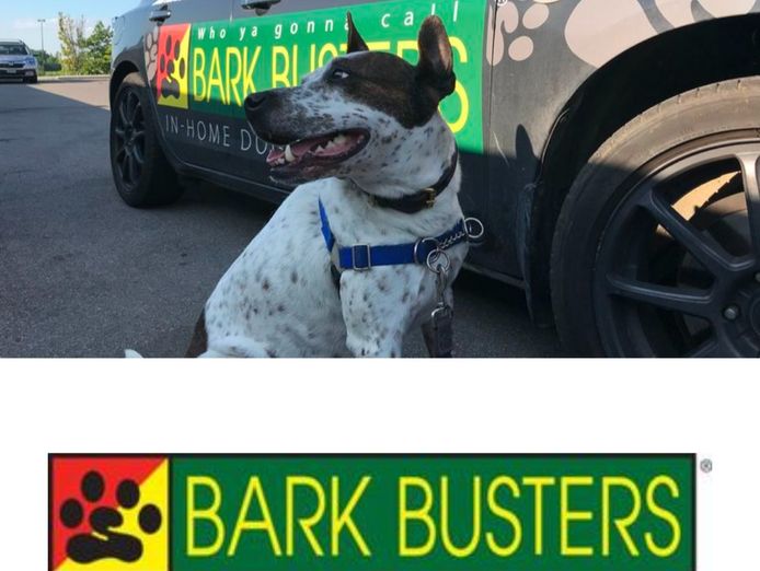 bark-busters-dog-training-franchise-northern-beaches-lower-north-shore-4