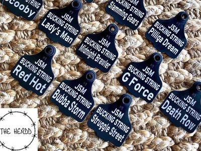 wfh-custom-lasering-engraving-gift-buisness-for-sale-8