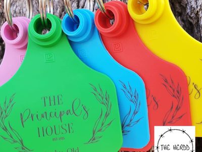 wfh-custom-lasering-engraving-gift-buisness-for-sale-4