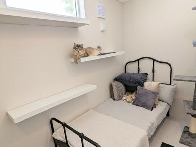 was-only-luxury-cat-hotel-north-perth-119k-secured-bookings-turn-key-0