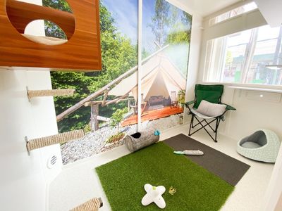 was-only-luxury-cat-hotel-north-perth-119k-secured-bookings-turn-key-4