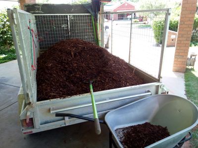 established-lawn-garden-maintenance-business-rochester-vic-3