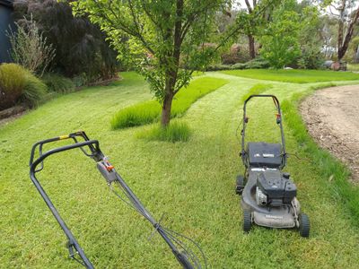 established-lawn-garden-maintenance-business-rochester-vic-6