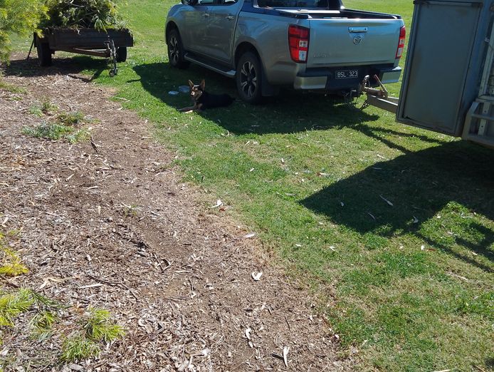 established-lawn-garden-maintenance-business-rochester-vic-9