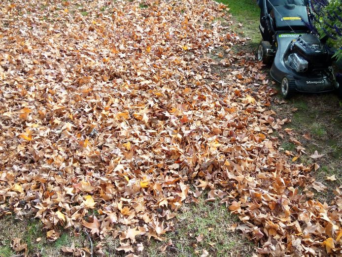 established-lawn-garden-maintenance-business-rochester-vic-5