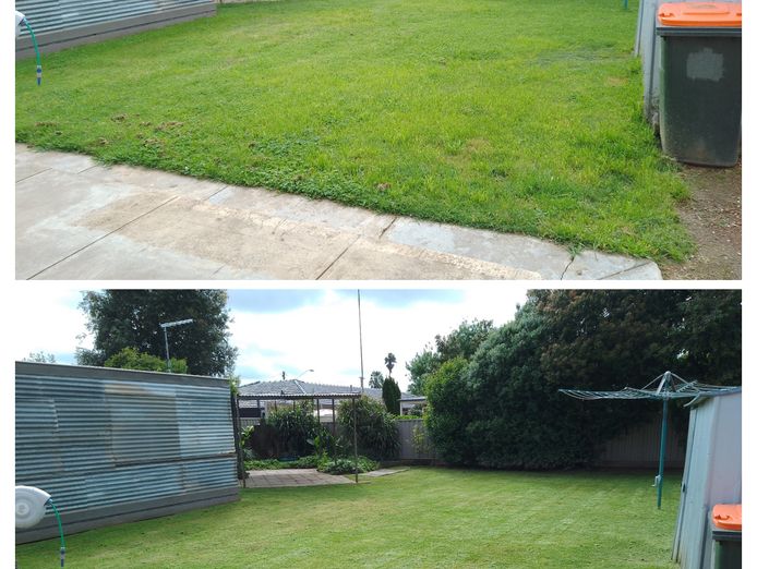 established-lawn-garden-maintenance-business-rochester-vic-7
