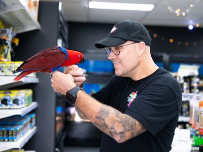 premium-exotic-pet-retail-grooming-business-2