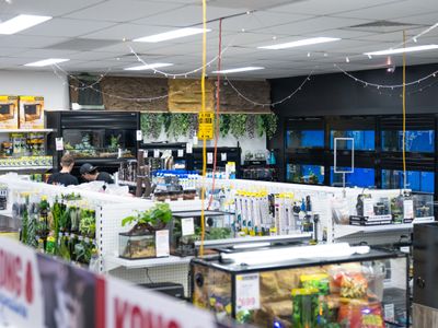 premium-exotic-pet-retail-grooming-business-8