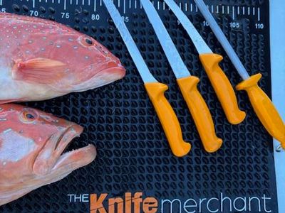 profitable-online-knife-business-turnkey-stock-included-5