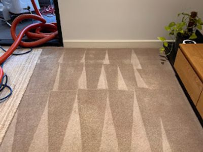 we-love-carpets-wlc-premium-carpet-cleaning-business-sydney-9