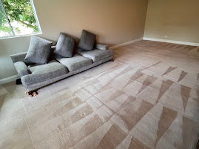 we-love-carpets-wlc-premium-carpet-cleaning-business-sydney-8