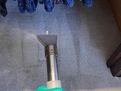 we-love-carpets-wlc-premium-carpet-cleaning-business-sydney-7