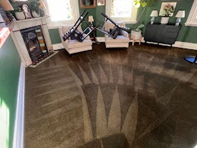 we-love-carpets-wlc-premium-carpet-cleaning-business-sydney-4
