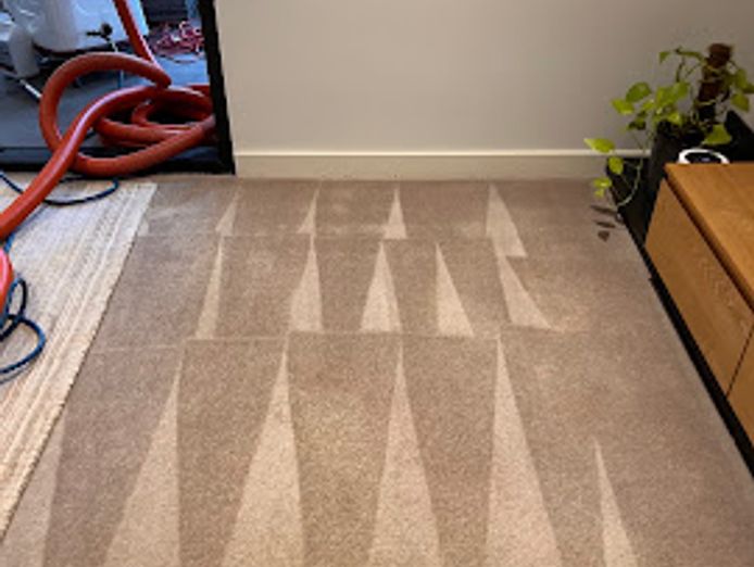 we-love-carpets-wlc-premium-carpet-cleaning-business-sydney-9