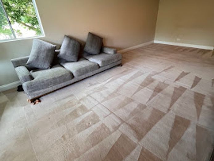 we-love-carpets-wlc-premium-carpet-cleaning-business-sydney-8