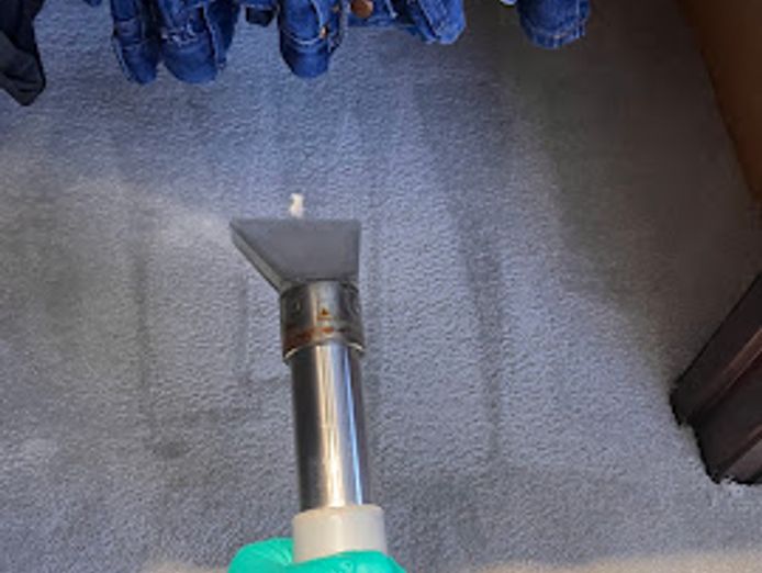 we-love-carpets-wlc-premium-carpet-cleaning-business-sydney-7
